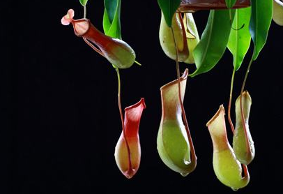 毛囊炎患者需要注意哪些事项